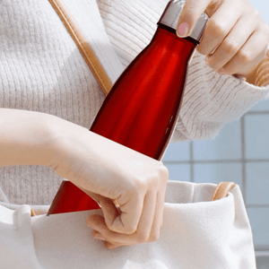 Bouteille Isotherme Rouge Sac Isotherme