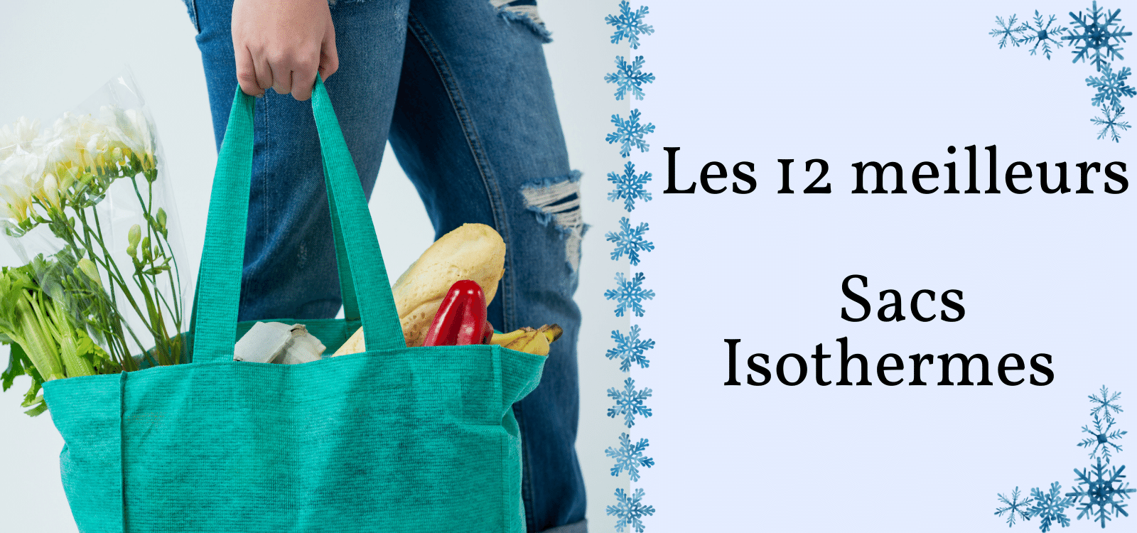 Les 12 Meilleurs Sacs Isothermes en 2023 Sac Isotherme