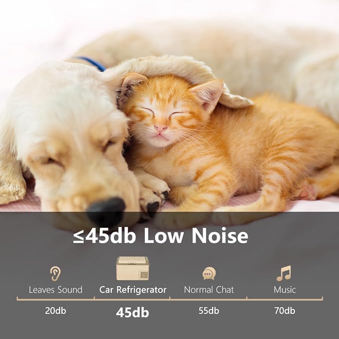 Glacière à Compression 40L – Réfrigérateur Portable 12/24V pour Voiture, Camping, Bureau ou Pique-Nique – Mini Frigo Congélateur –20°C à +20°C Amazon