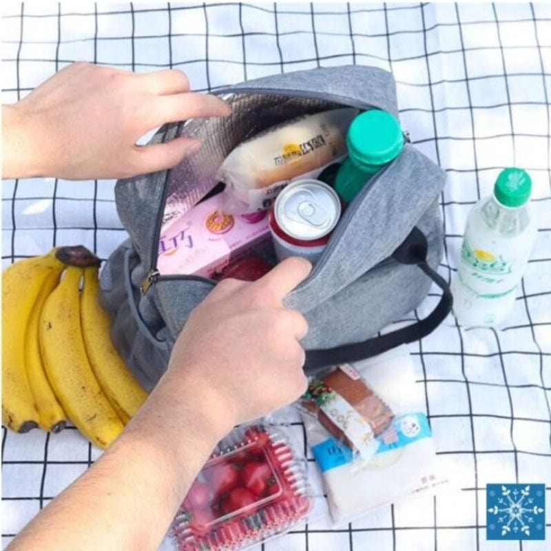 Sac Dejeuner Femme Sac Isotherme