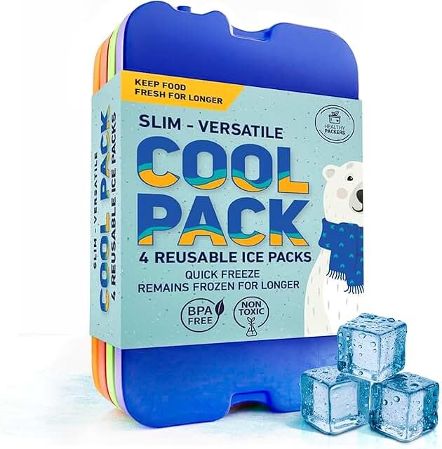 Lot de 4 blocs réfrigérants pour sac isotherme