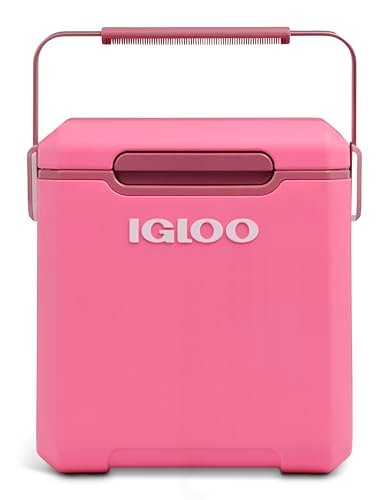 Glacière rigide petite taille 11L Igloo – compacte portable